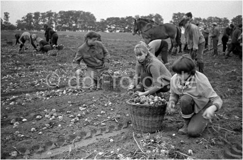 Foto von ddr-fotos.de