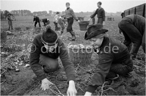 Foto von ddr-fotos.de