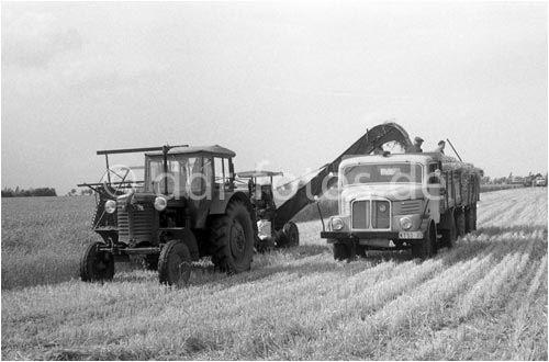 Foto von ddr-fotos.de