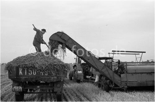 Foto von ddr-fotos.de