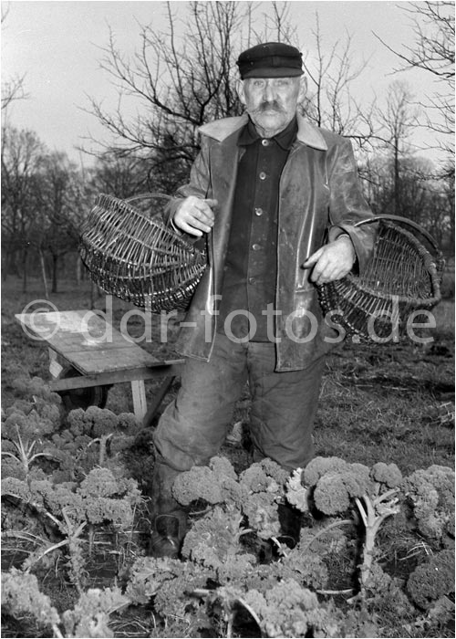 Foto von ddr-fotos.de