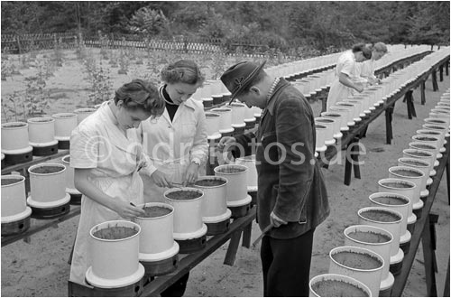 Foto von ddr-fotos.de